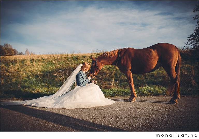 Bryllupsfotografering med hest